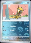 Scraggy