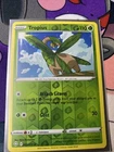 Tropius