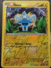 Shinx