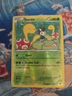 Shuckle