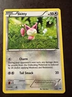 Skitty