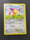 Skitty