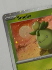 Smoliv