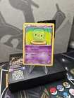 Solosis
