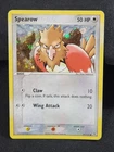 Spearow