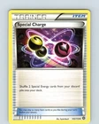 Special Charge