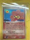 Sunny Castform