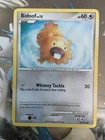 Bidoof