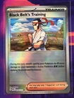 Black Belt's Training