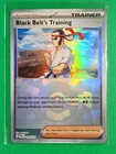 Black Belt's Training