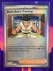 Black Belt's Training