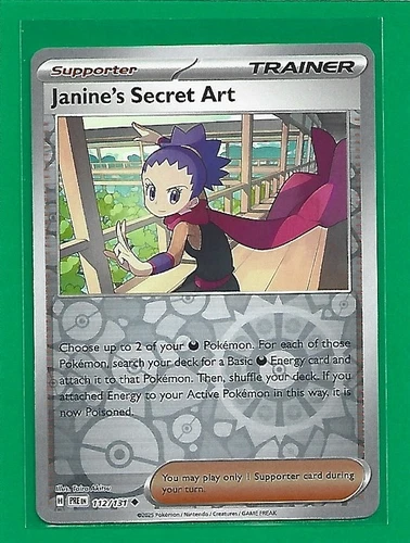 Janine's Secret Art