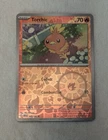 Torchic