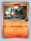Team Rocket's Houndour