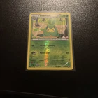Swadloon
