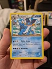 Swampert