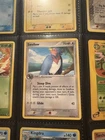 Swellow