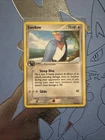 Swellow