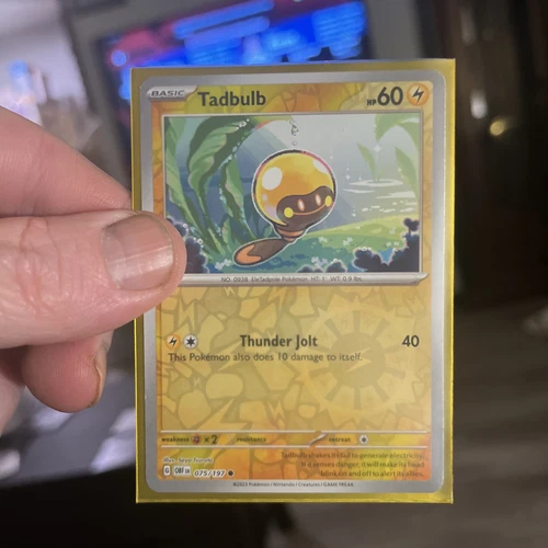 Tadbulb