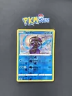 Tapu Fini