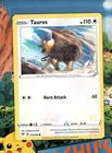 Tauros