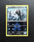 Team Aqua's Poochyena