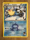 Team Aqua's Sealeo