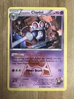 Team Magma's Claydol