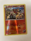 Team Magma's Numel
