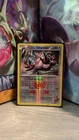 Team Magma's Zangoose