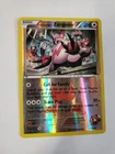 Team Magma's Zangoose