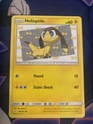 Helioptile