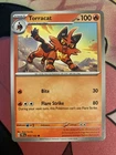 Torracat