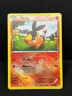 Tepig