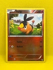 Tepig