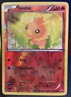 Torchic