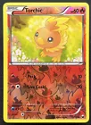 Torchic