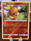 Torchic