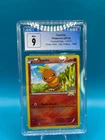 Torchic