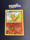 Torchic