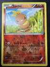 Torchic
