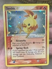 Torchic