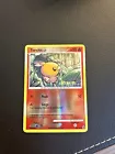 Torchic
