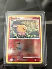 Torchic