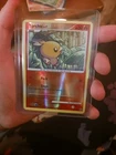 Torchic