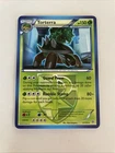 Torterra