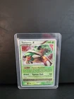 Torterra LV.X Tin