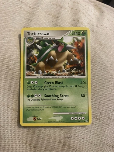 Torterra