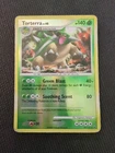 Torterra