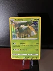 Torterra